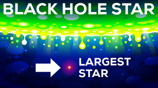 Thumbnail for Black Hole Star – The Star That Shouldn't Exist | Kurzgesagt – In a Nutshell