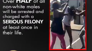 Thumbnail for Niggers are a different species. Racism does not exist. 