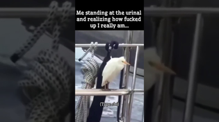 Thumbnail for Me standing at the urinal and realizing how f***ed up I really am... | FunnyMemeSpot Backup
