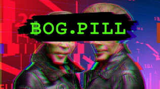 Thumbnail for The Twins who Terrorized Physicists with a Sock Puppet Army | BobbyBroccoli