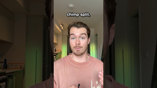 Thumbnail for Why Don’t Chimpanzees Ask Questions? | Thomas Mulligan