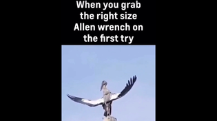 Thumbnail for When you grab the right size Allen wrench on the first try | FunnyMemeSpot
