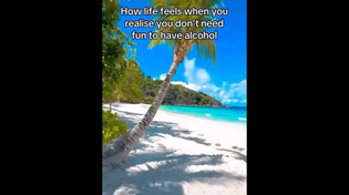 Thumbnail for How life feels when you realize you don’t need fun to have alcohol | FunnyMemeSpot Backup