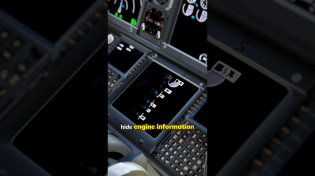 Thumbnail for Why Boeing 737 Pilots Hide Engine Information?! | LuxPlanes