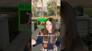 Thumbnail for Is Ring SPYING on you? | ReasonTV