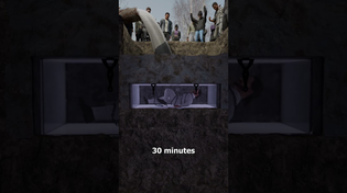 Thumbnail for Joseph Burrus’ Fatal Coffin Escape 😵 | Zack D. Films