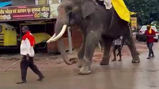 Thumbnail for Nuke India