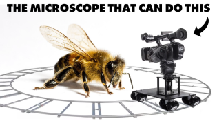 Thumbnail for I made microscopic DRONE shots! | Steve Mould