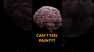 Thumbnail for This is the REAL reason headaches hurt | Be Smart