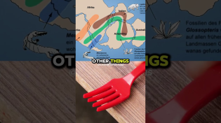 Thumbnail for How Was Continental Drift Discovered? 🌎 w/ Neil deGrasse Tyson | Universe Genius