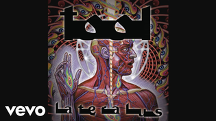 Thumbnail for TOOL - Ticks & Leeches (Audio) | TOOLVEVO