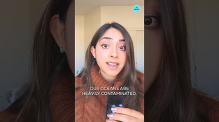 Thumbnail for Scientists Discover Thousands of Barrels of DDT Off California Coast | Today I Learned Science