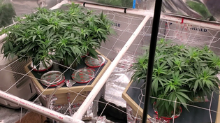 Thumbnail for Breath deep the gathering gloom.  Watch lights fade from every room  - The Moody Blues