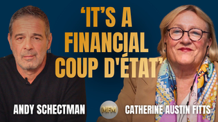Thumbnail for ‘They’ve Given Up on the Country’: Inside the Financial Coup | Catherine Austin Fitts