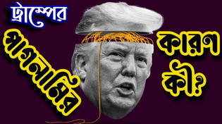 Thumbnail for ট্রাম্পের পাগলামির কারণ কী? নিজে পাগল ? নাকি আমেরিকার ভরাডুবি? | Sorwar Alam
