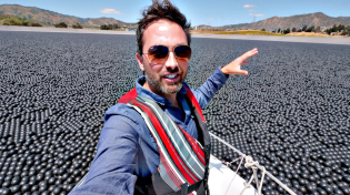 Thumbnail for Why Are 96,000,000 Black Balls on This Reservoir? | Veritasium