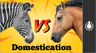 Thumbnail for Why Zebra Are Terrible Horses | CGP Grey