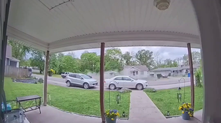 Thumbnail for Nigger Gets Run Over By Driver After Attempint To Steal Car