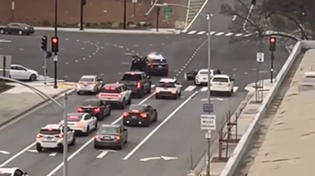 Thumbnail for Dude tries to steal a cop car and gets ROCKED 