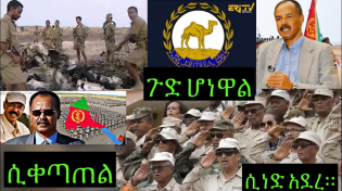 Thumbnail for በኤርትራ ጋሽ በርጋ የሚገኘው ታላቁ የሻቢያ መሳሪያ ግምጃ ቤት በብርጌድ ነሃመዶን ጦር ሲነድ አደረ።የፋኖ ሃይል እርስ በርስ ሲጨፋጨፍ ዋለ። | Maebel Mereja - ማዕበል መረጃ 